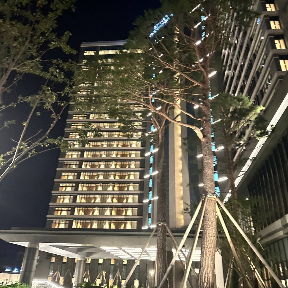 강릉 신라모노그램 레지던스 야간 외관과 조경된 산책로