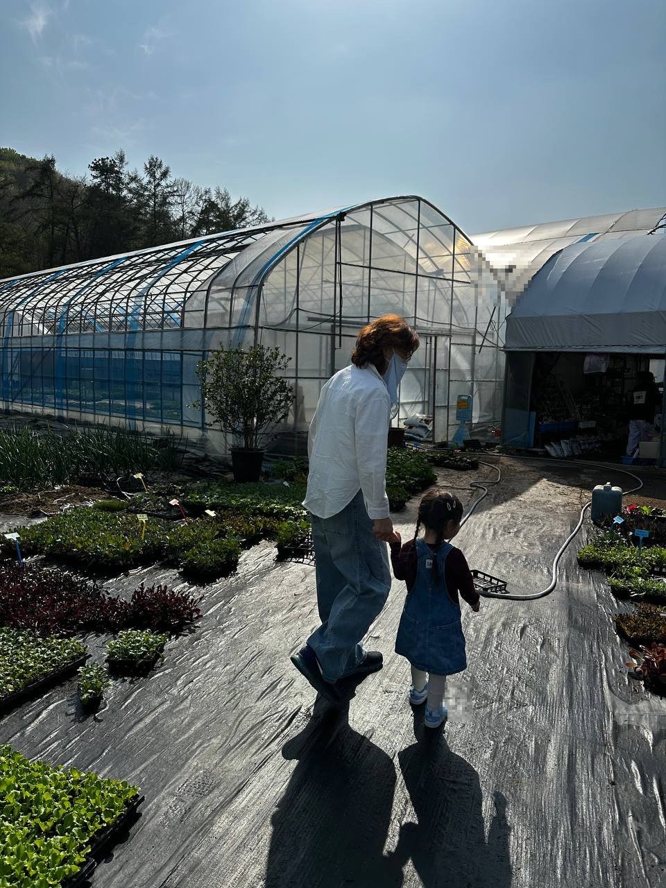 엄마와 아이가 한밭농원 비닐하우스 사이 검은 방수포 길을 따라 함께 걸어가는 모습